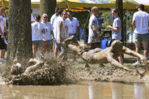 Bremenfest Mud Volleyball